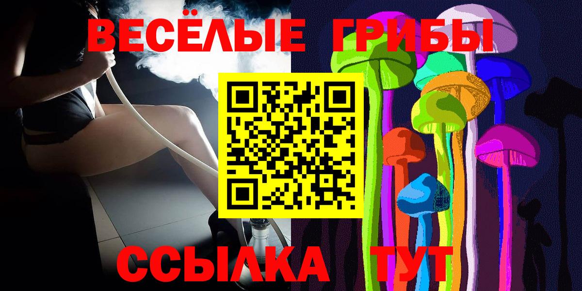 Мценск  Псилоцибиновые грибы мицелий  Вход с VPN 